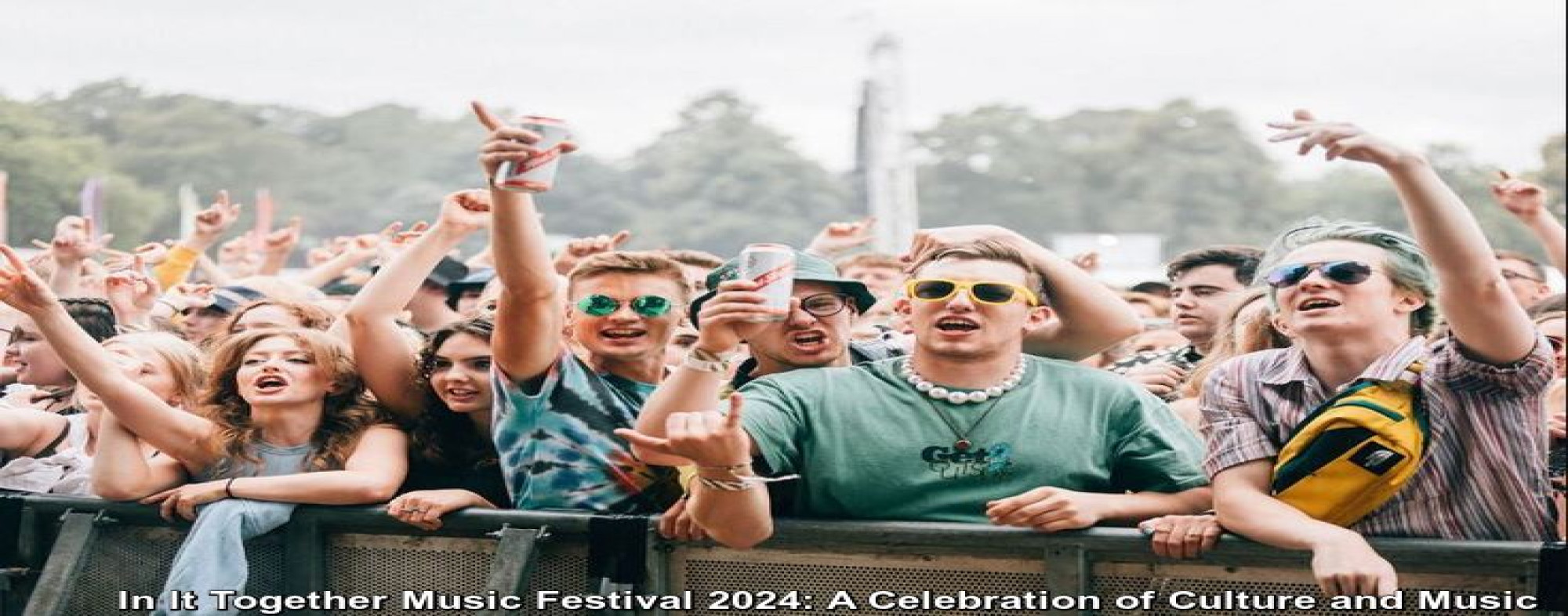 In It Together Music Festival 2024: A Celebration of Culture and Music